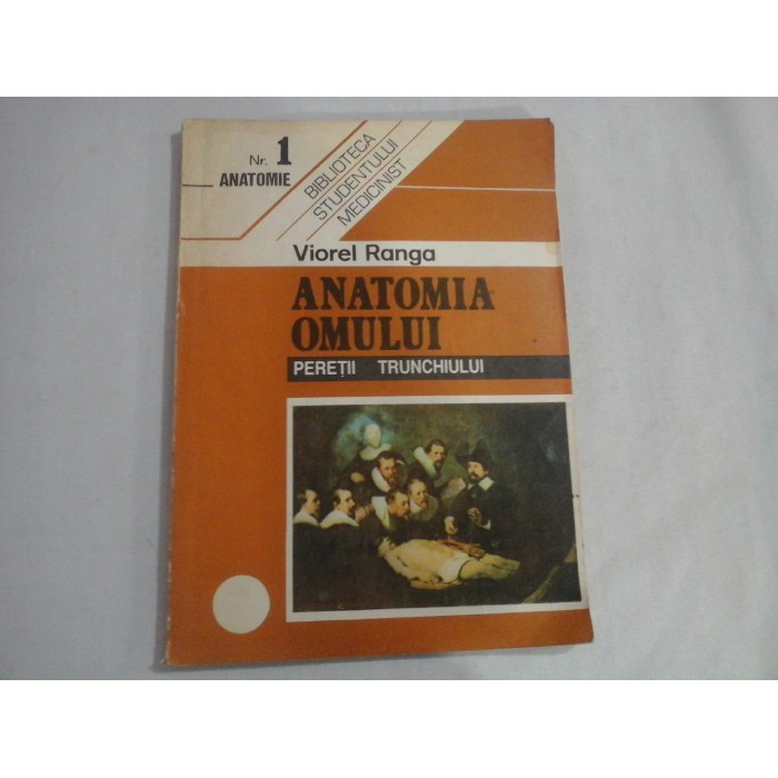    ANATOMIA   OMULUI *  PERETII  TRUNCHIULUI  -  Viorel  RANGA  